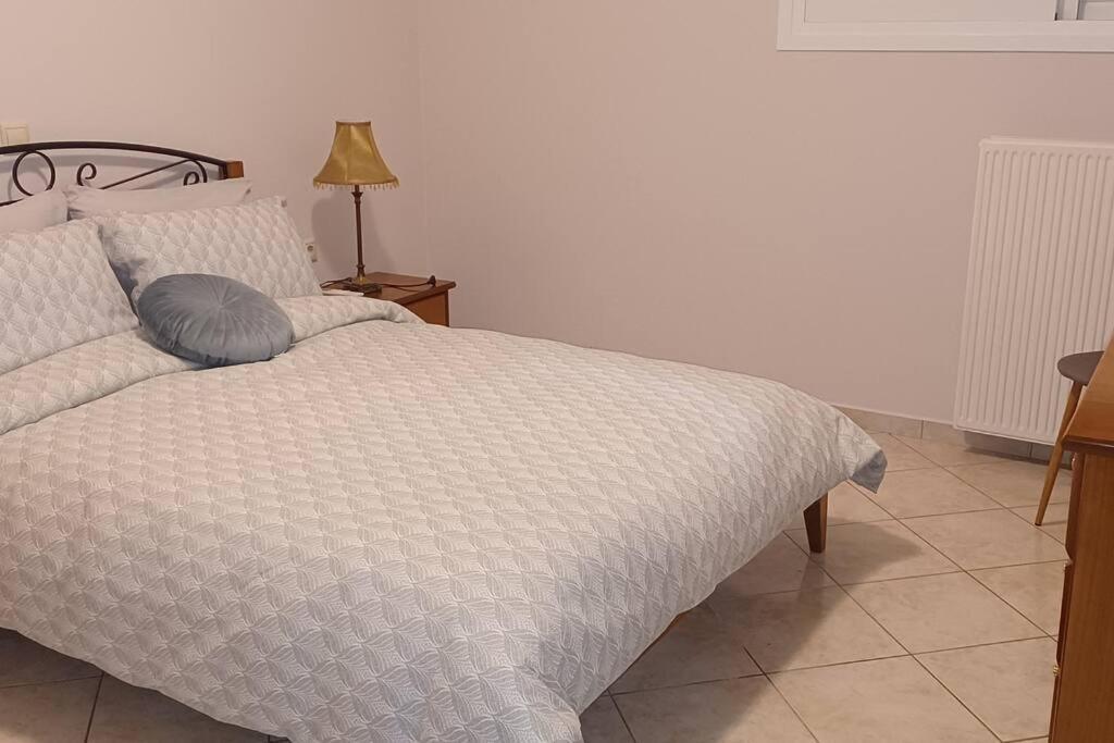 Belle Vue Villa Paliopanagia Ngoại thất bức ảnh